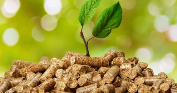 Advantages Of Biomass