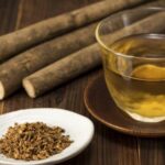 What Are The Burdock Root Benefits